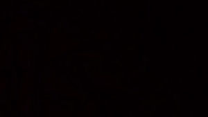 Meet your Posher, Miguel